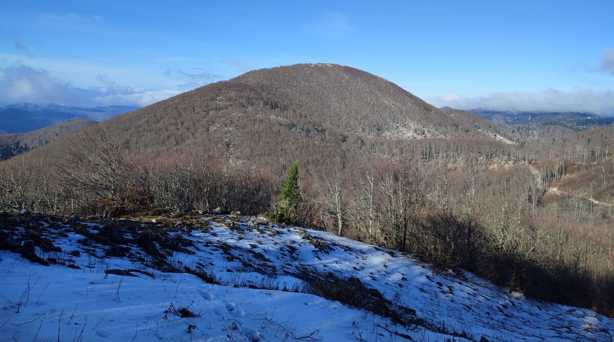 STRILEŽ - VIŠEVICA